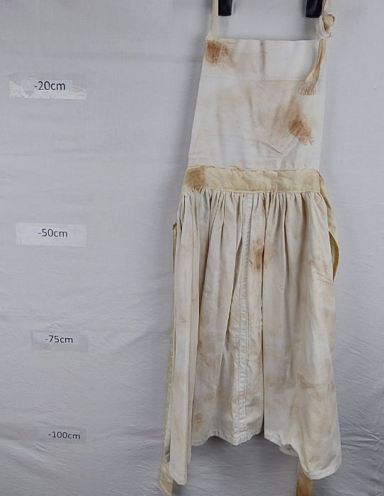 DIRTY MAIDS APRON