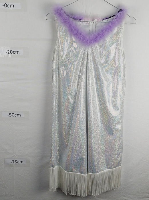 SILVER CHARLESTON FLAPPER DRESS