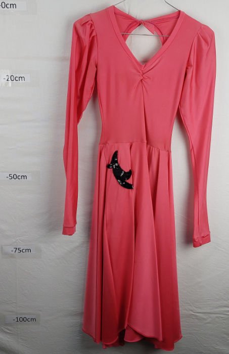 PINK LEOTARD WITH LONG NYLON SKIRT