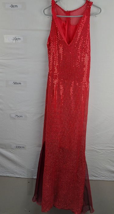 RED DRESS LONG