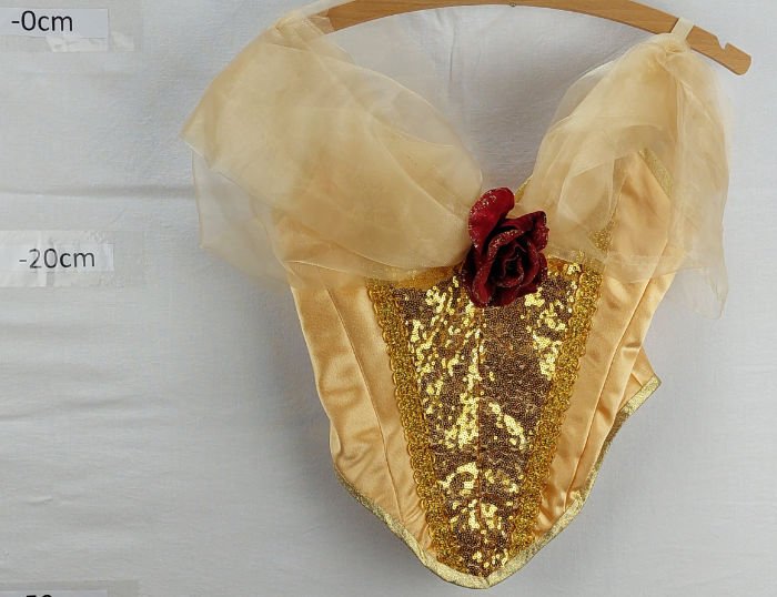 GOLD BODICE TOP