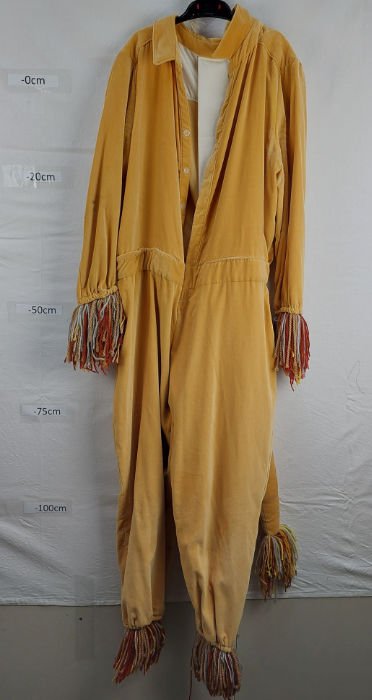ANIMAL FUR LION BROWN