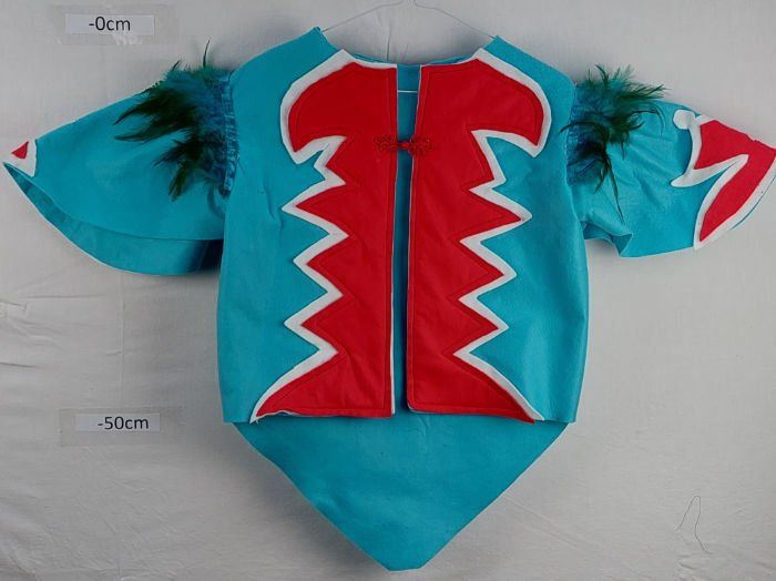 CARNIVAL, CIRCUS, FESTIVAL BLUE AND RED JACKETS