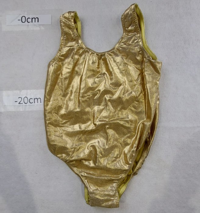 GOLD LEOTARD 
