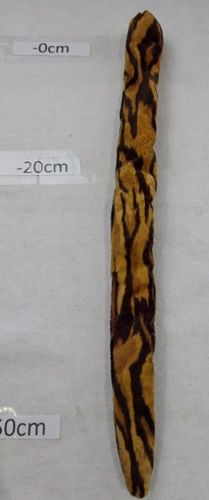 TIGER TAIL