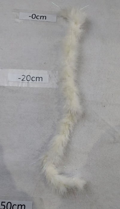 FLUFFY WHITE TAIL