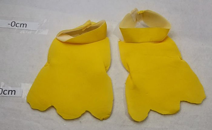 DUCK FEET