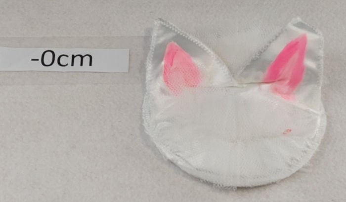 ANIMAL EARS