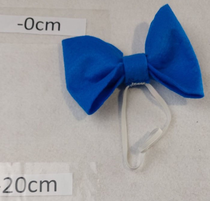 BLUE BOW