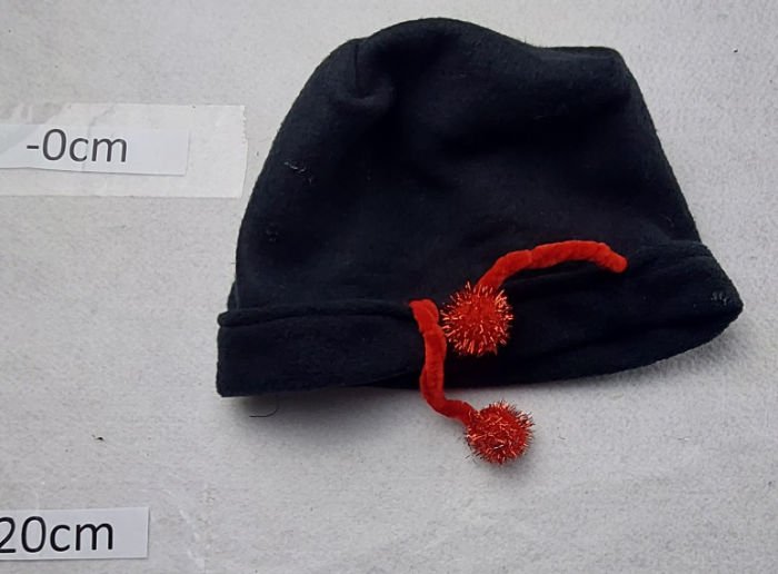 LADYBIRD BUG HATS