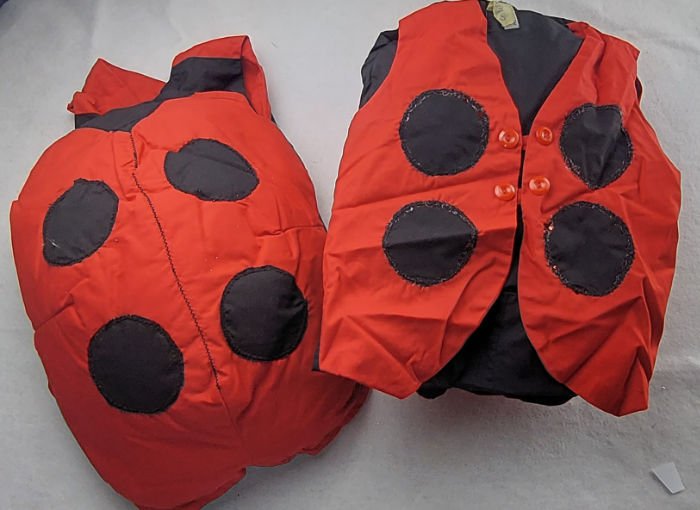 LADYBUG RED AND BLACK