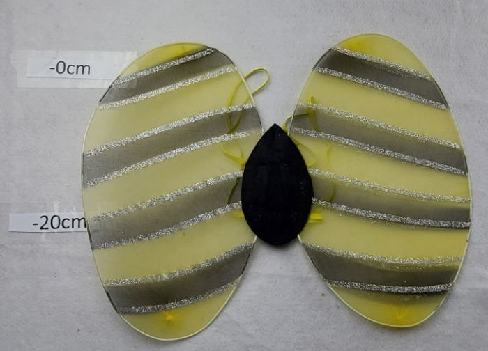 BEE WINGS