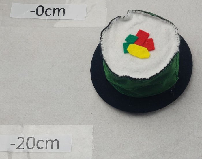 SUSHI HEADDRESS