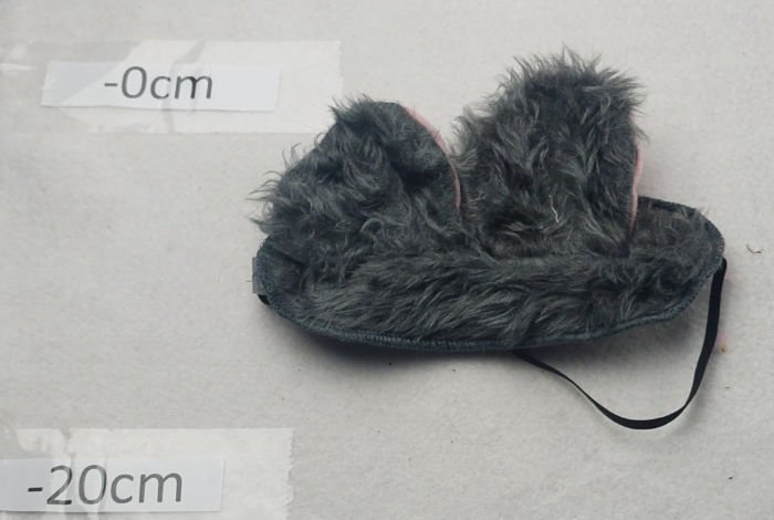 MICE EARS