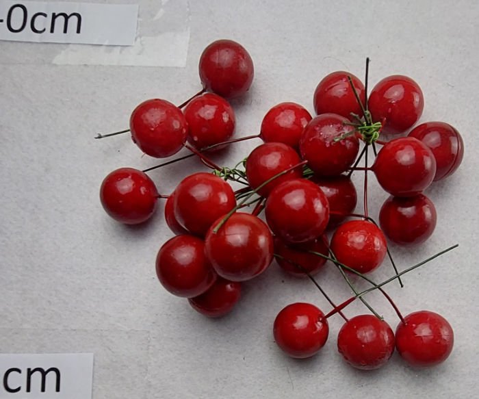 CHERRIES