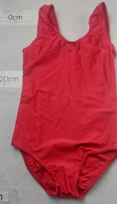 RED LEOTARD 