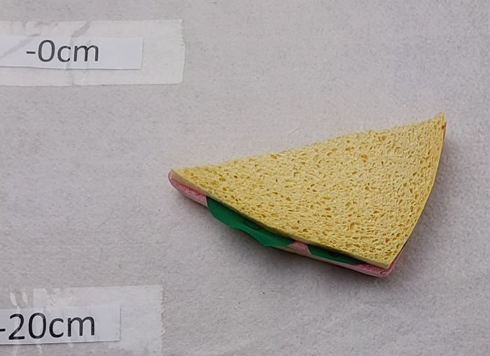 SANDWICH